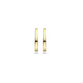 Blush BLUSH 14k Geelgouden creolen 7277YGO, 13.7 mm