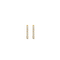 Blush BLUSH 14k  Geelgouden creolen met zirconia 7268YZI