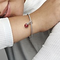 Pandora PANDORA Ladybird sterling silver dangle with salsa red crystal, clear cubic zirconia and black enamel 792571C01
