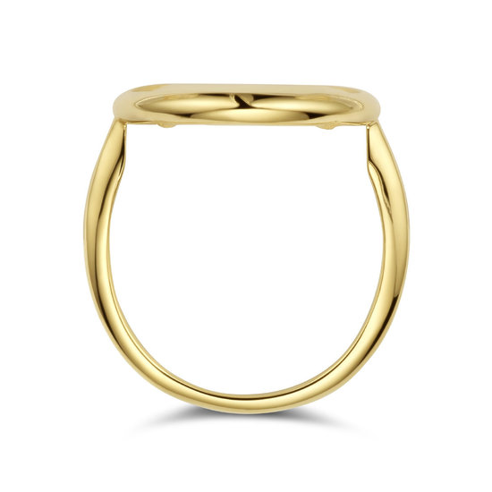 Collectie Milikan 14krt Geelgouden ring met druppelvormige platte parelmoer 5.5ct, 17x18 mm, maat 16.5