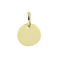 Collectie Milikan 14krt Geelgouden rond graveerplaatje 10 mm