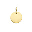 Collectie Milikan 14krt Geelgouden hanger, graveerplaat rond 12 mm