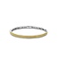 Ti Sento Milano TI SENTO MILANO 23004SY Zilver vergulde bangle met scharnier met nopjes