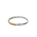 Ti Sento Milano TI SENTO MILANO 23004SY Zilver vergulde bangle met scharnier met nopjes