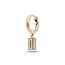 Buddha to Buddha BUDDHA TO BUDDHA G041 one Logo Gold Earhoop 14kt YG Single Piece (  1 ENKELE OORRING  )