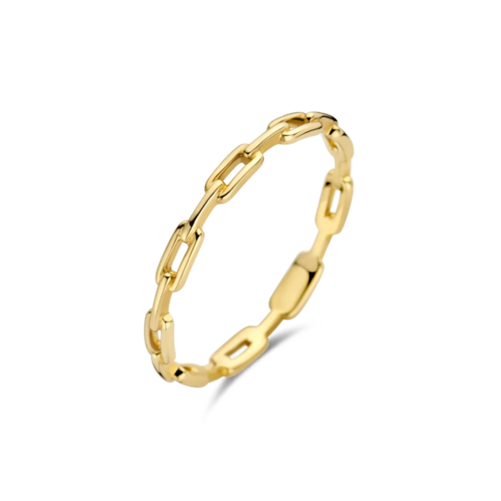 Blush BLUSH 14k Geelgouden ring 1230YGO vast geschakeld