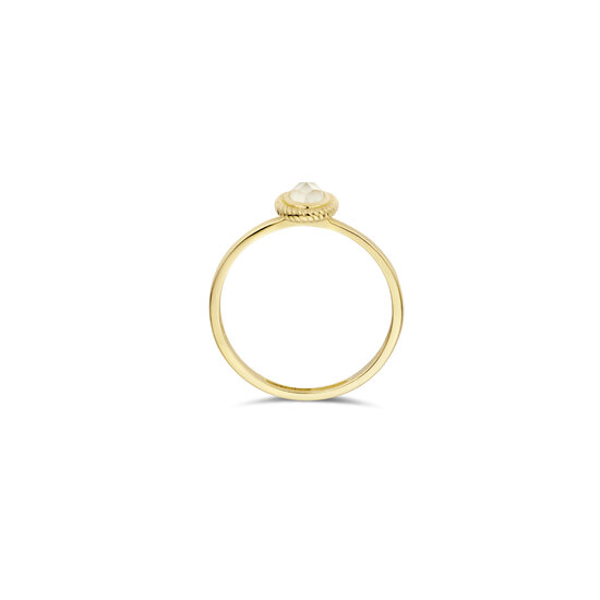 Blush BLUSH 14k Geelgouden ring 1239YMQ met ovale kwarts/parelmoer