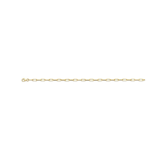 Blush BLUSH 14k Geelgouden schakelarmband 2191YGO