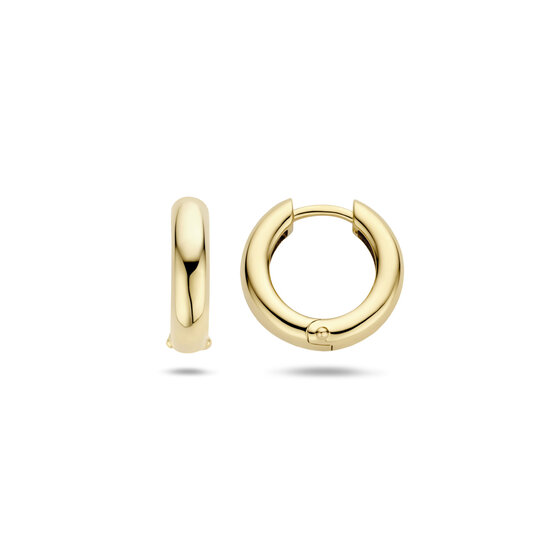 Blush BLUSH 14k Geelgouden creolen 7316YGO, 15 mm