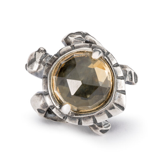 Trollbeads TROLLBEADS TAGBE-00299 Zilveren bedel: Lang leven