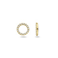 Blush BLUSH 14k Geelgouden aanhangers zirconia 9066YZI