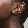 Pandora PANDORA 262633C01 Herbarium cluster 14k gold-plated stud earrings with zirconia