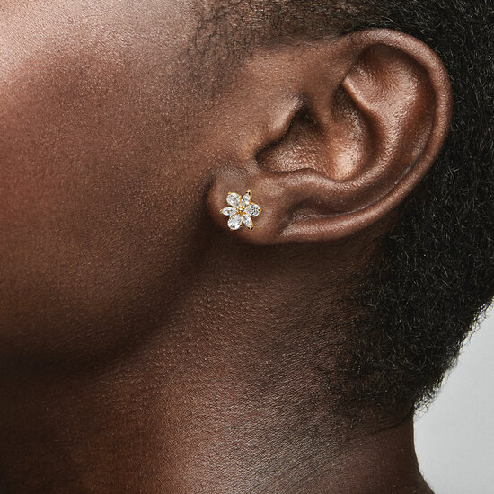 Pandora PANDORA 262633C01 Herbarium cluster 14k gold-plated stud earrings with zirconia