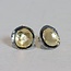 Jéh Jewels Jéh Jewels 20762 Zilveren oorstekers, rond geoxideerd zilver met vergulde cirkel