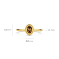 Blush BLUSH 14krt geelgouden ring met ovaal gefacetteerde labradoriet in rand 1239YBQ