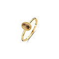 Blush BLUSH 14krt geelgouden ring met ovaal gefacetteerde labradoriet in rand 1239YBQ