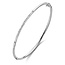 Fjory Fjory Bangle 2mm met diamant 50-A306102-0,11 14 krt witgoud met zilveren kern, 21x diamant totaal 0,11crt TW/VSI, 61mm