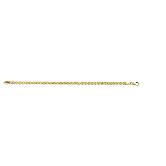 Fjory Fjory Geelgouden Spiga Armband 40-SPI0319 | 19 cm, 14 karaat geelgoud met zilveren kern, Spiga schakel 3.0 mm dik