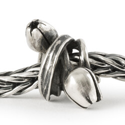 TROLLBEADS TAGBE-10279 Zilveren bedel: Tulp van Optimisme