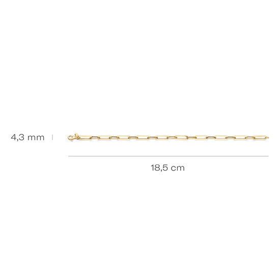 Blush BLUSH 2229YGO 14krt geelgouden armband, closed-forever schakels en gedraaide ovale schakels, 18.5 cm