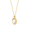 Blush BLUSH 3169YMQ 14krt geelgouden collier, met ovaal hangertje, tors-rand met ovale parelmoer zirconia