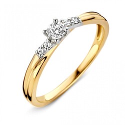 HUISCOLLECTIE 14krt bicolor ring met diamant, tot. 0.22ct H/SI