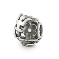 Trollbeads TROLLBEADS TAGBE-50047 Zilveren bedel: Natuurwijsheid