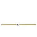 Ti Sento Milano TI SENTO MILANO 34069SY/45 Zilver verguld gourmetcollier 3.8 mm, 45 cm lang