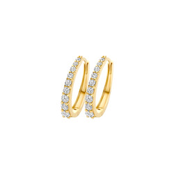 BLUSH 7342YZI 14krt geelgouden klapcreolen, ovaal, aflopend, met zirconia's