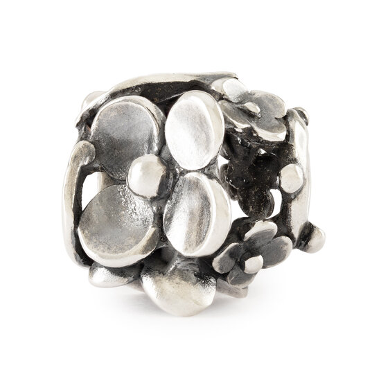 Trollbeads TROLLBEADS TAGBE-50048 Zilveren bedel: Oever van het meer