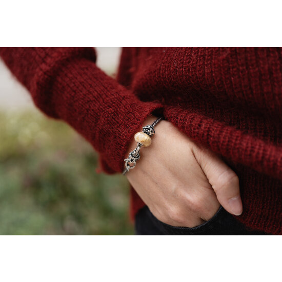 Trollbeads TROLLBEADS TSA24C Startersarmband: Hemelse wensen armband en etui