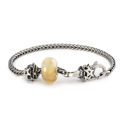 TROLLBEADS TSA24C Startersarmband: Hemelse wensen armband en etui