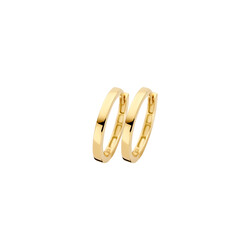 BLUSH 7308YGO 14krt geelgouden klapcreolen, rond, vlak, 13 mm