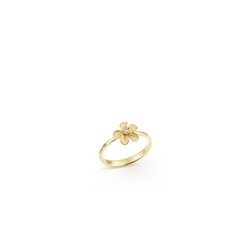 CAMMILLI GAN3762U 18krt Cherry Bloom Yellow Sunrise Gold ring met 1x diamant 0.015ct