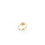 Annamaria Cammilli ANNAMARIA CAMMILLI GAN3762U 18krt Cherry Bloom Yellow Sunrise Gold ring met 1x diamant 0.015ct