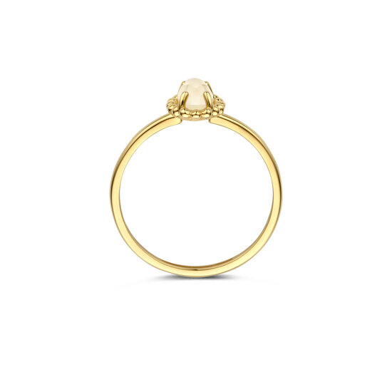 Blush BLUSH 1272YMQ 14krt geelgouden ring met maansteen rondom met pareldraadrand