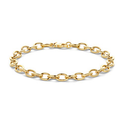 BLUSH 2255YGO 14krt geelgouden ovale schakelarmband, deels getorsde schakels