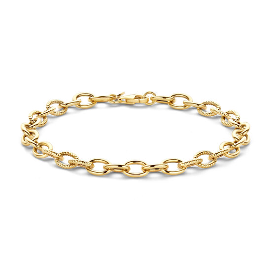 Blush BLUSH 2255YGO 14krt geelgouden ovale schakelarmband, deels getorsde schakels