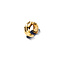Pandora PANDORA SHINE 263872C00 Pippled 14k gold-plated ear cuff