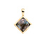 Sparkling Jewels Sparkling Jewels SPG32-G18 hanger Labradorite Cushion Cut Amulet - Gold plated