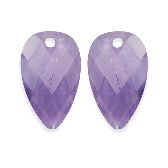 Sparkling Jewels Sparkling Jewels EAGEM05-BS edelsteenhangers Blossom - Amethyst
