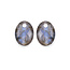Sparkling Jewels Sparkling Jewels EAGEM18-MO edelsteenhangers Medium Oval Labradorite