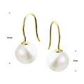 Collectie Milikan Collectie Milikan 14 karaat gouden oorhangers parel franse haak 8 mm