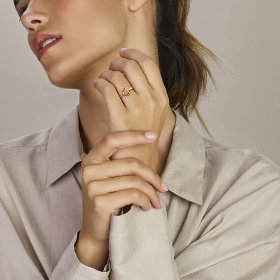 Collectie Milikan Collectie Milikan 14 karaat geelgouden ring fantasie met zirconia maat 16.5