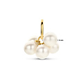 Collectie Milikan Collectie Milikan 14 karaat gouden hanger met trosje parels 4mm (6stuks)