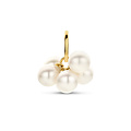 Collectie Milikan Collectie Milikan 14 karaat gouden hanger met trosje parels 4mm (6stuks)