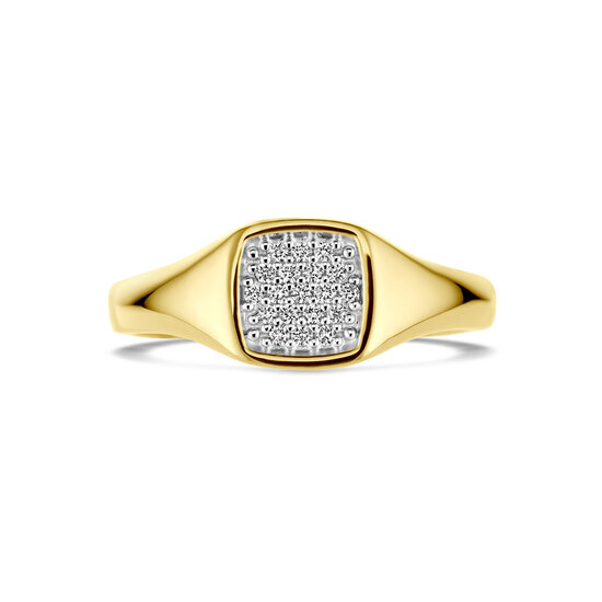 Collectie Milikan Collectie Milikan 14 karaat geelgouden zegelring met diamant maat 17 1/4