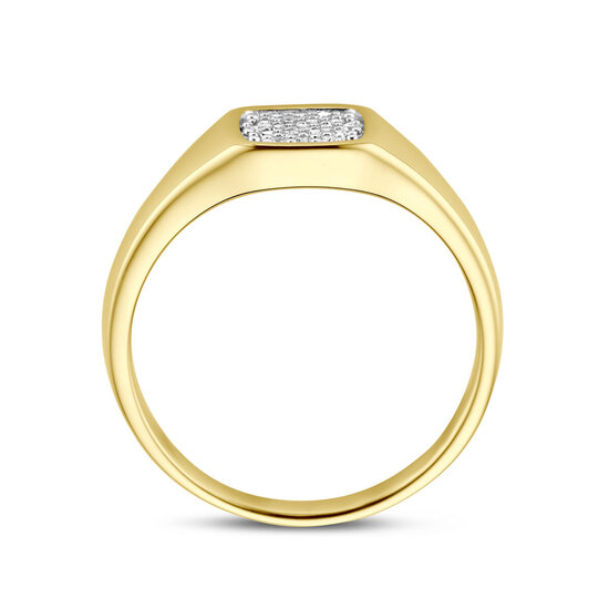 Collectie Milikan Collectie Milikan 14 karaat geelgouden zegelring met diamant maat 17 1/4