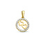 Collectie Milikan Collectie Milikan 14 karaat geelgouden hanger rond/zirconia met 2 hartjes