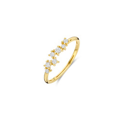 BLUSH 1267YZI 14krt geelgouden ring met 7x zirconia verspringend